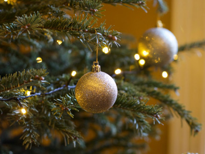 Eko choinka - świąteczne dekoracje przyjazne środowisku